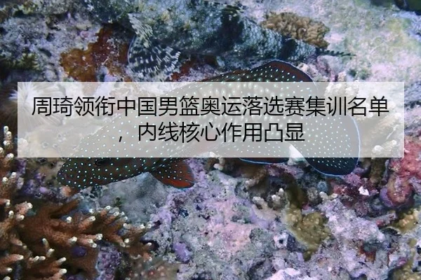 zhou-qi-ling-xian-zhong-guo-nan-lan-ao-yun-luo-xuan-sai-ji-xun-ming-dan-nei-xian-he-xin-zuo-yong-tu-xian-3-504.jpg